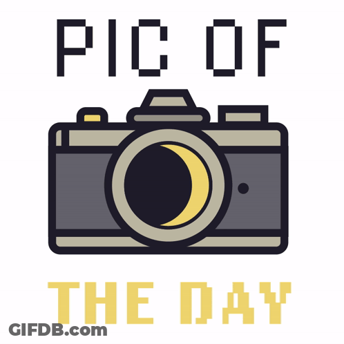 A Picture Of A Camera And The Words Pic Of The Day Below It GIF