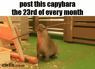 A Picture Of A Capybara Holding A Stick In Its Mouth GIF