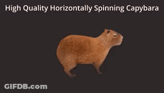A Picture Of A Capybara With The Words High Quality Horizontally Spinning Capybara GIF