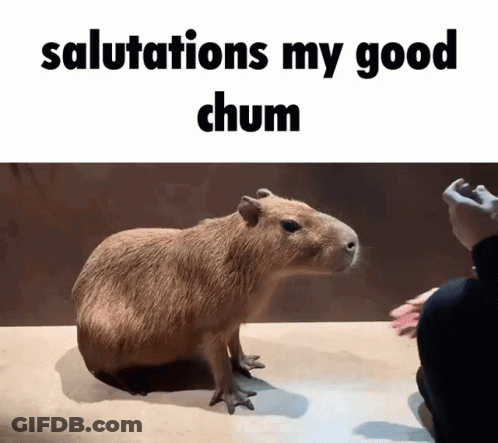 A Picture Of A Capybara With The Words Salutations My Good Chum GIF