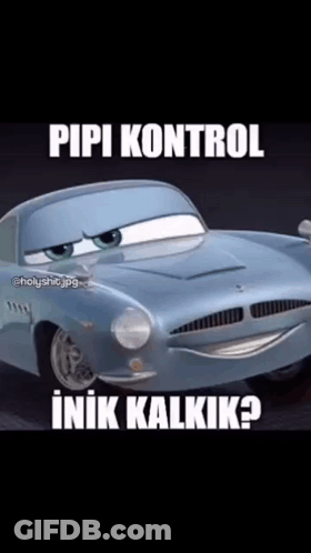 A Picture Of A Car With A Caption That Says ' Pipi Kontrol ' On It . GIF