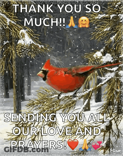 A Picture Of A Cardinal In A Snowy Forest Says Thank You So Much GIF