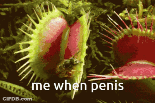 A Picture Of A Carnivorous Plant With The Words Me When Penis Below It GIF