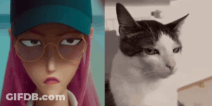 A Picture Of A Cartoon Character And A Picture Of A Cat . GIF