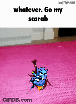 A Picture Of A Cartoon Character On A Pink Rug With The Caption Whatever Go My Scarab GIF