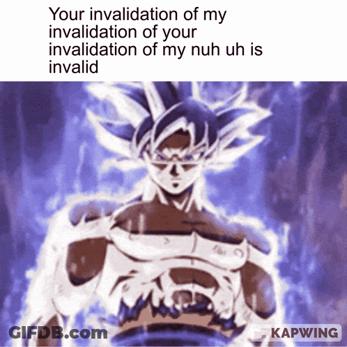 A Picture Of A Cartoon Character With The Caption Your Invalidation Of My Invalidation Of Your GIF