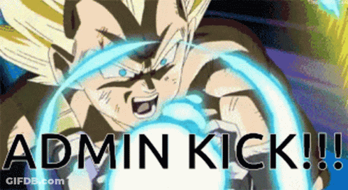 A Picture Of A Cartoon Character With The Words Admin Kick Written Below It GIF