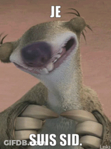 A Picture Of A Cartoon Character With The Words Je Suis Sid On It GIF