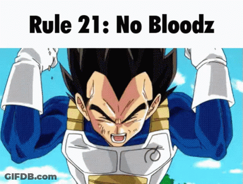 A Picture Of A Cartoon Character With The Words Rule 21 : No Bloodz On The Bottom GIF