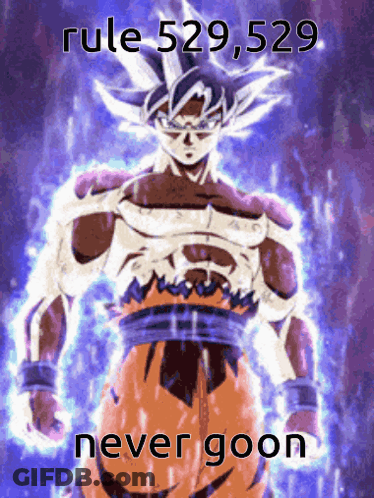 A Picture Of A Cartoon Character With The Words Rule 529,529 Never Goon Below Him GIF