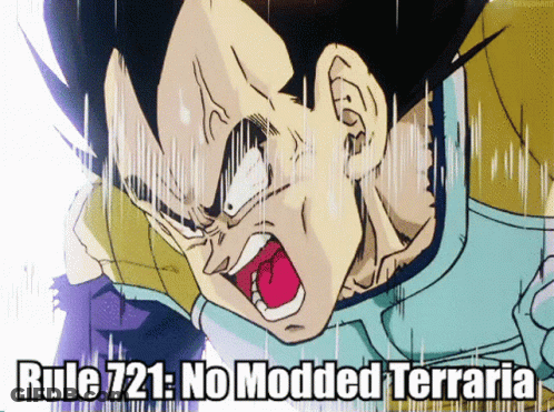 A Picture Of A Cartoon Character With The Words Rule 721 No Modded Terraria Below It GIF