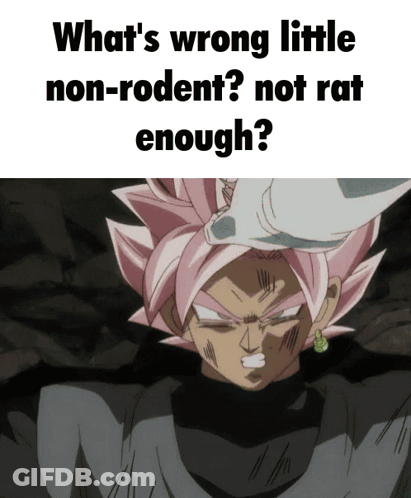 A Picture Of A Cartoon Character With The Words What 'S Wrong Little Non-Rodent Not Rat Enough GIF