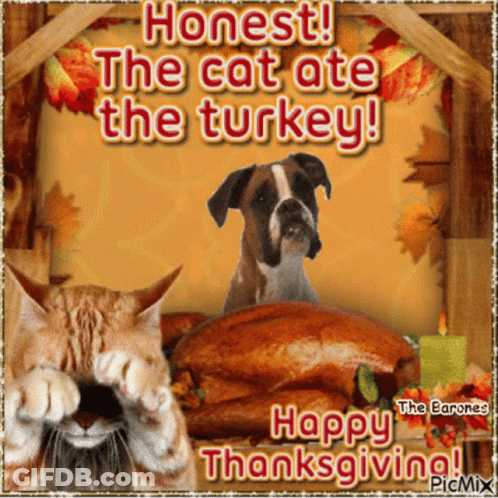 A Picture Of A Cat And A Dog That Says Happy Thanksgiving GIF