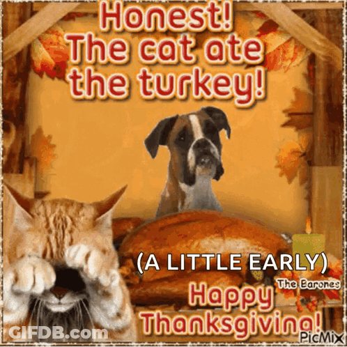 A Picture Of A Cat And A Dog With The Caption " Honest The Cat Ate The Turkey A Little Early Happy Thanksgiving " GIF