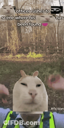 A Picture Of A Cat And A Man With The Caption Officer Rushes To Scene Where His Been Found GIF