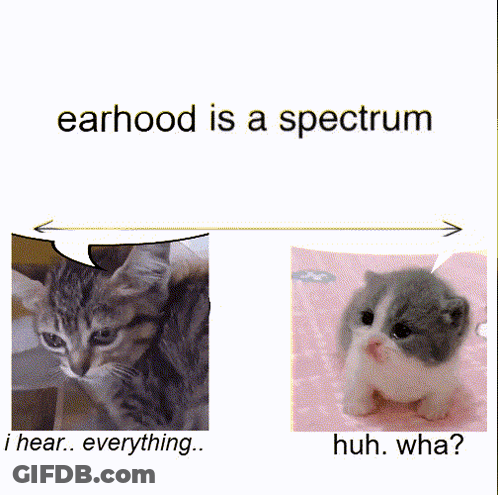 A Picture Of A Cat And A Picture Of A Kitten With The Words " Earhood Is A Spectrum " GIF