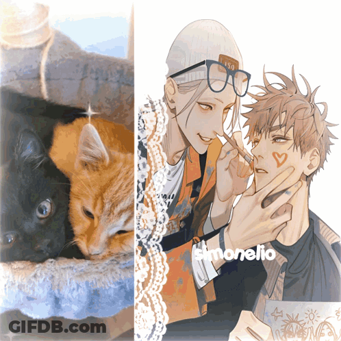 A Picture Of A Cat And A Picture Of A Man With The Name Simonelio GIF