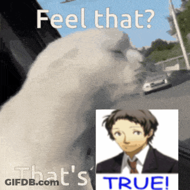 A Picture Of A Cat And A Picture Of A Man With The Words " Feel That " And " That 'S True " GIF