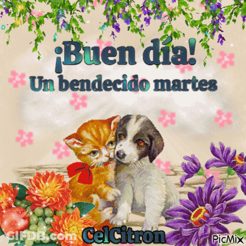 A Picture Of A Cat And A Puppy With The Words " Buen Dia " GIF