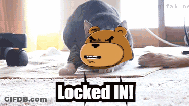 A Picture Of A Cat And A Teddy Bear With The Words " Locked In " Below It GIF