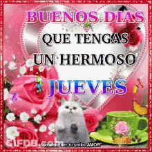 A Picture Of A Cat And Flowers With The Words Buenos Dias Que Tengas Un Hermoso Jueves On It GIF