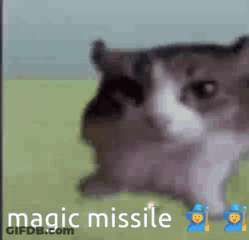A Picture Of A Cat And The Words Magic Missile GIF