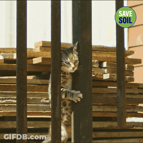 A Picture Of A Cat Behind Bars With A Save Soil Logo GIF