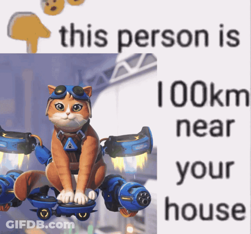 A Picture Of A Cat Flying With The Words " This Person Is 100Km Near Your House " Below It GIF