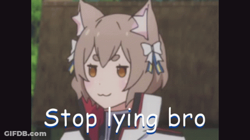 A Picture Of A Cat Girl With The Words " Stop Lying Bro " Below Her GIF