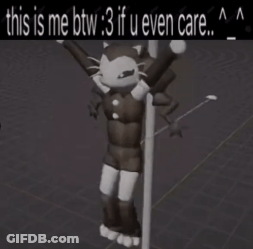 A Picture Of A Cat Hanging From A Pole That Says This Is Me Btw 3 If U Even Care GIF