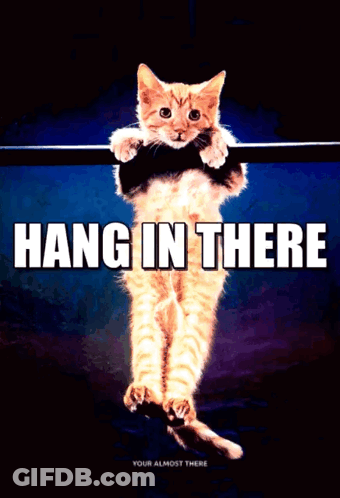 A Picture Of A Cat Hanging On A Bar With The Words Hang In There Below It GIF