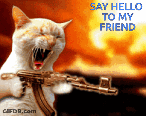 A Picture Of A Cat Holding A Gun With The Words Say Hello To My Friend Above It GIF