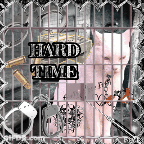A Picture Of A Cat In A Cage With The Words Hard Time Written Above It GIF