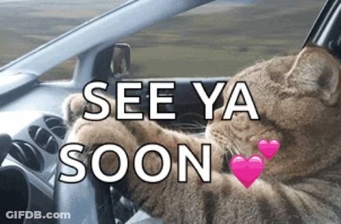 A Picture Of A Cat In A Car With The Words See Ya Soon Below It GIF