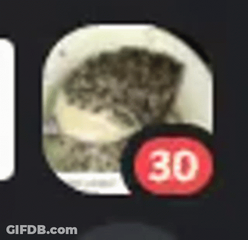 Cat In Circle With Red 30 Icon GIF