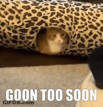 A Picture Of A Cat In A Leopard Print Tunnel With The Caption Goon Too Soon GIF