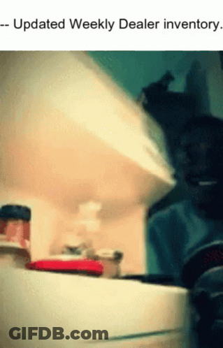 A Picture Of A Cat In A Refrigerator With The Words Updated Weekly Dealer Inventory Below It GIF