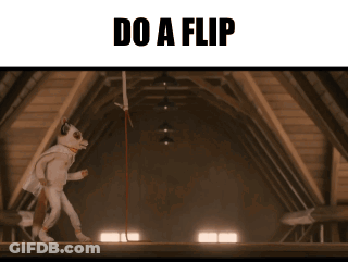 A Picture Of A Cat In An Attic With The Words Do A Flip GIF