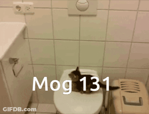 A Picture Of A Cat Jumping Into A Toilet With The Words Mog 131 On The Bottom GIF