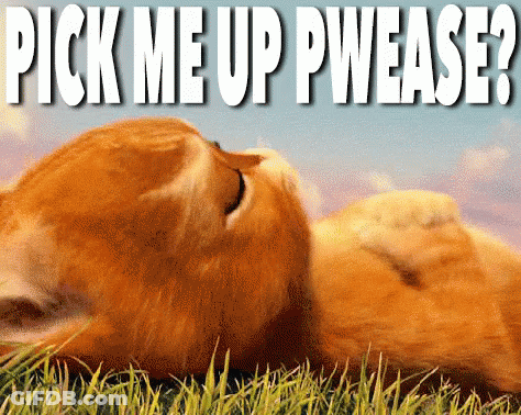 A Picture Of A Cat Laying In The Grass With The Words Pick Me Up Pwease Below It GIF