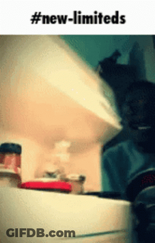 A Picture Of A Cat Looking Into A Refrigerator With The Words #New-Limiteds Below It GIF