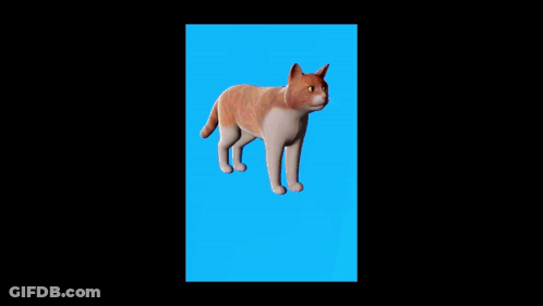 A Picture Of A Cat Looking Up At The Sky GIF