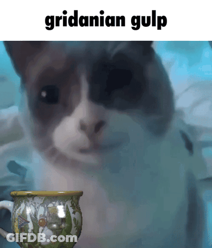 A Picture Of A Cat Next To A Cup With The Caption Gridanian Gulp GIF