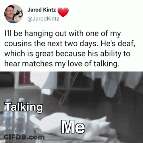 A Picture Of A Cat Next To A Tweet By Jarod Kitz GIF