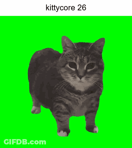 A Picture Of A Cat On A Green Screen With The Words Kittycore 26 Below It GIF