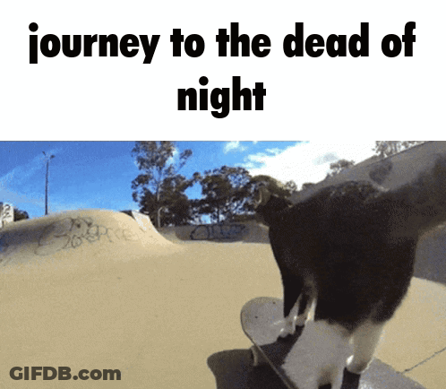 A Picture Of A Cat On A Skateboard With The Words Journey To The Dead Of Night Below It GIF