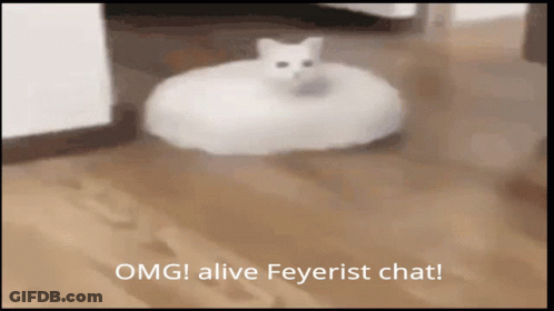 A Picture Of A Cat On A Vacuum Cleaner That Says " OMG Alive Feyreist Chat " GIF