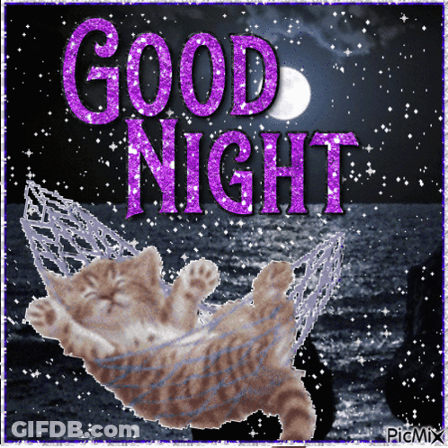 A Picture Of A Cat Sleeping In A Hammock With The Words " Good Night " GIF