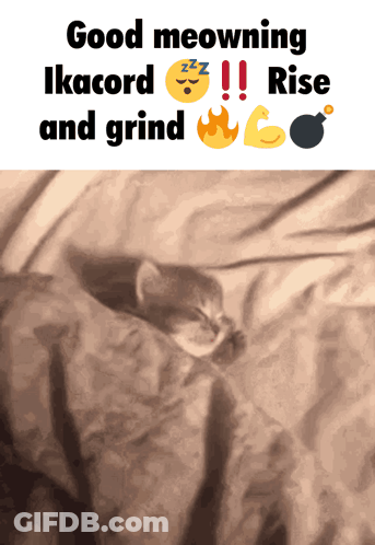 A Picture Of A Cat Sleeping With The Words Good Meowning Ikacord Rise And Grind Below It GIF