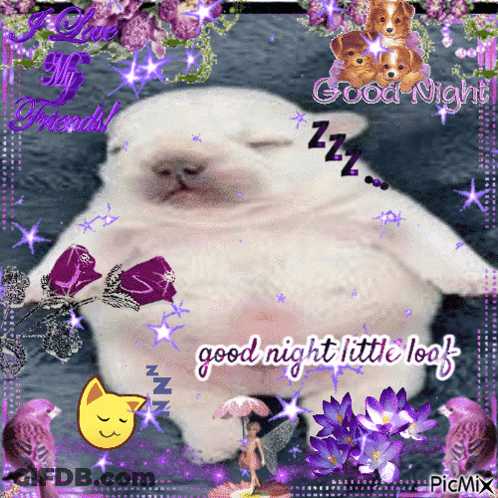 A Picture Of A Cat Sleeping With The Words Good Night Little Leaf GIF